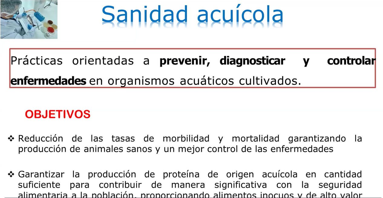 SANIDAD Y ALIMENTACIÓN ACUÍCOLA